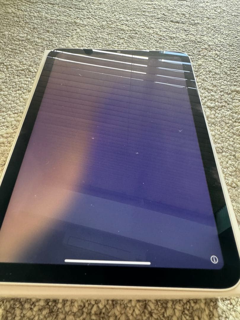 iPad本体 Apple iPad Mini 6 256GB Wi-Fi