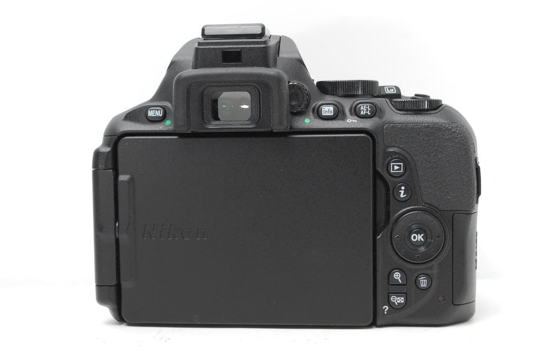 【ダブルレンズ　使用感少美品】Nikon D5600　WiFiモデル　スマホ転送