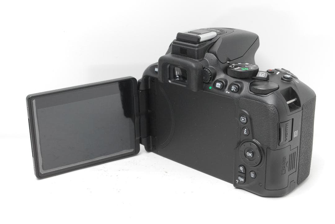 【ダブルレンズ　使用感少美品】Nikon D5600　WiFiモデル　スマホ転送