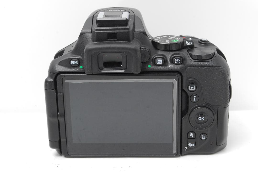 【ダブルレンズ　使用感少美品】Nikon D5600　WiFiモデル　スマホ転送