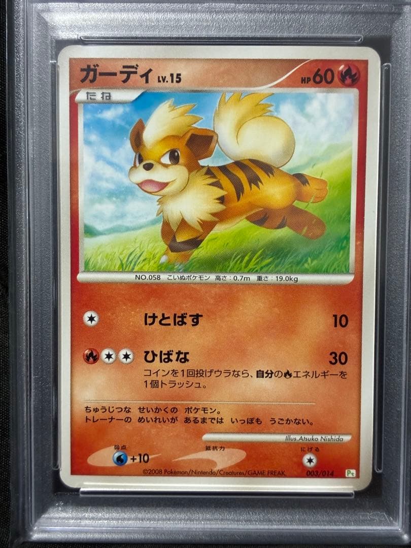 世界13枚 PSA10 ガーディ growlithe 2008 003