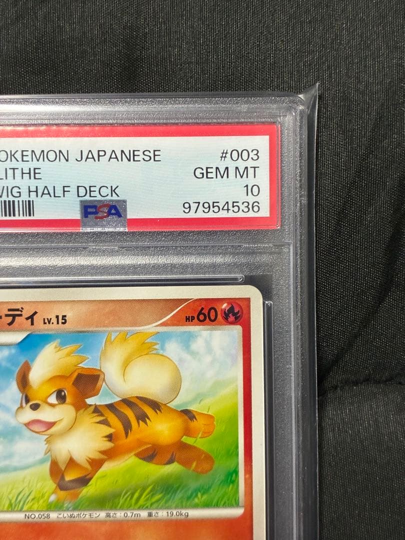 世界13枚 PSA10 ガーディ growlithe 2008 003