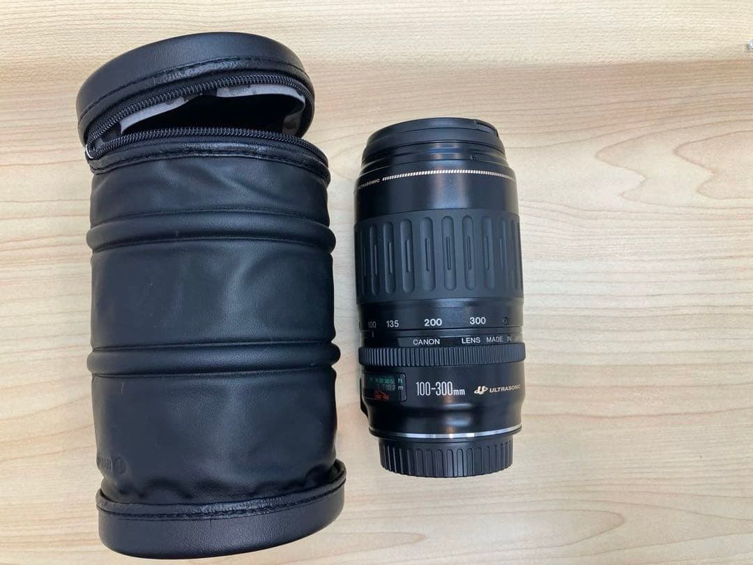 Canon EF 100-300mm f/4.5-5.6 ズームレンズ