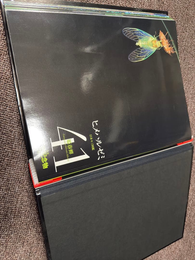 週刊 日本の天然記念物 動物編 全50巻+フィギュア+公式トレカ