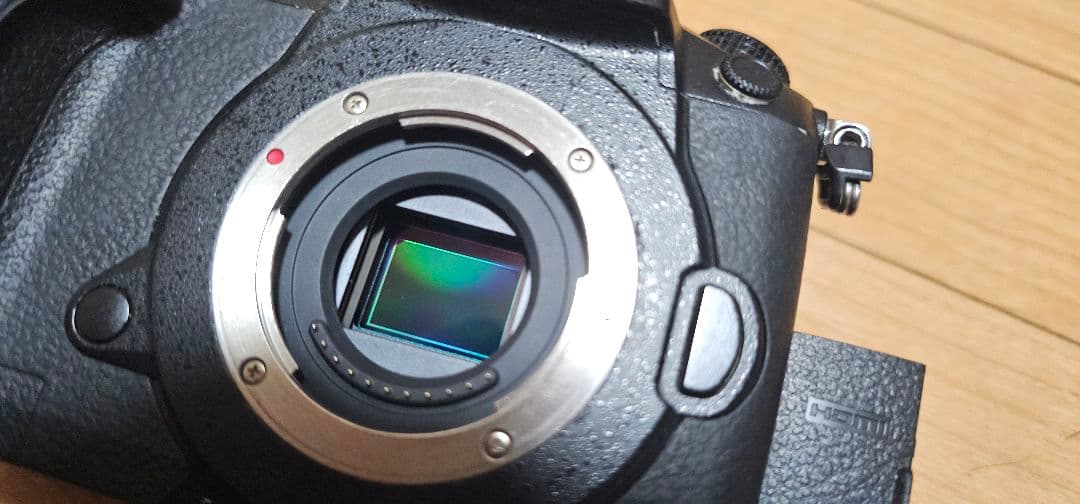 でぃど　LUMIX DC-GH5S 一眼レフカメラ ブラック