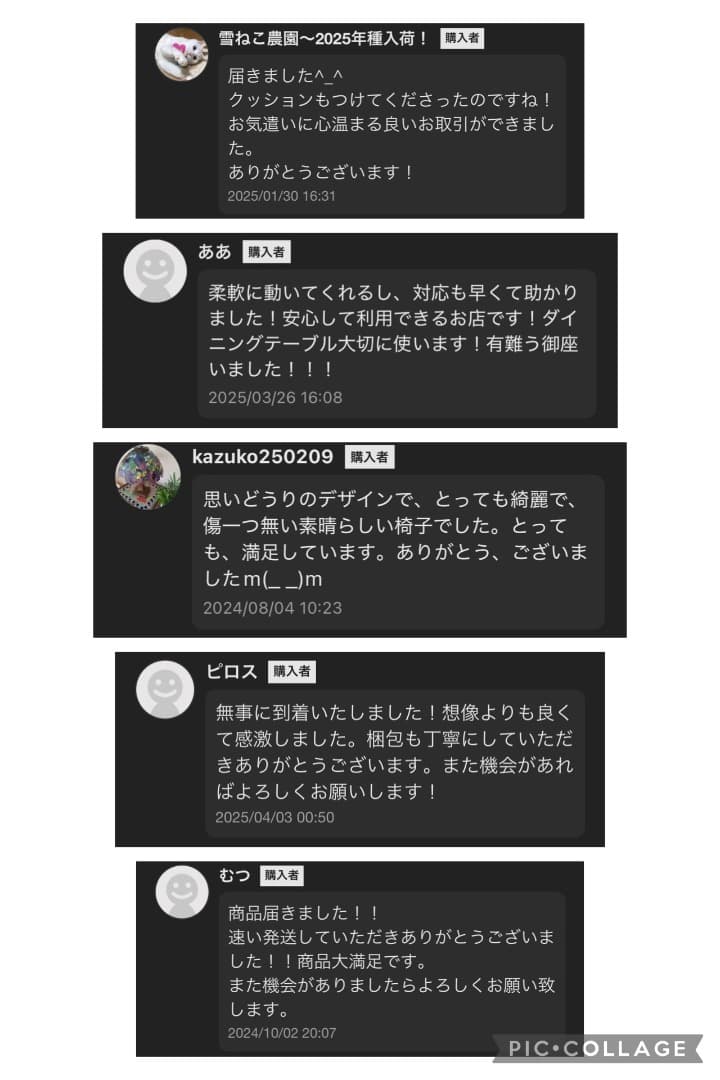 ガオちゃんリクライナー ソファチェア 1人掛け 日本製 高級