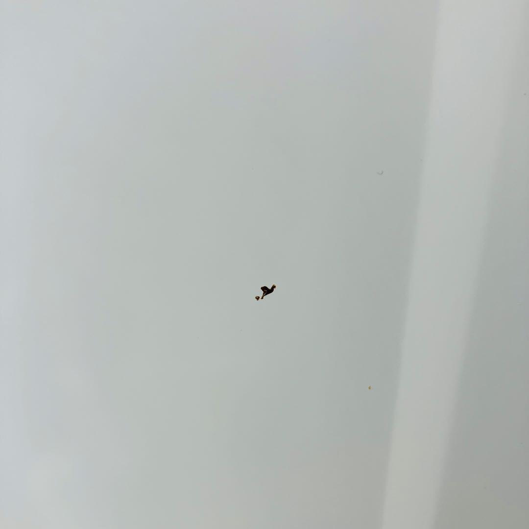 12h49. ヤマダセレクト 全自動洗濯機 5.5kg YWM-T55LW