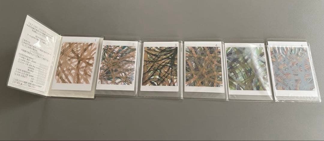 FALF CART CEGOSON　カード6枚セット 足立郁郎