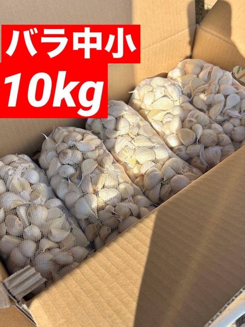 【早い者勝ち】青森県産 にんにく バラ中小10kg 福地ホワイト お買い得