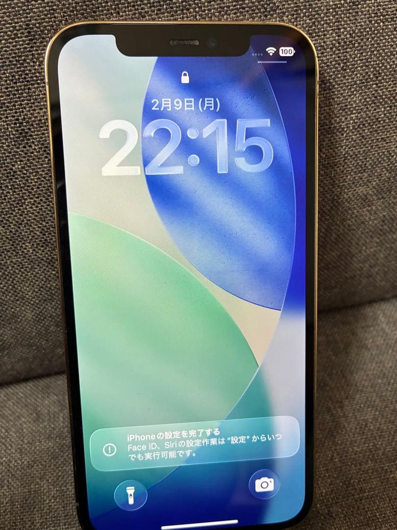 iPhone12 Pro【背面ひび割れあり】