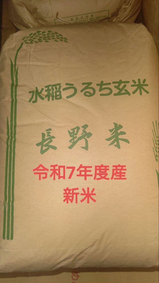 長野県産 令和7年度米 白米