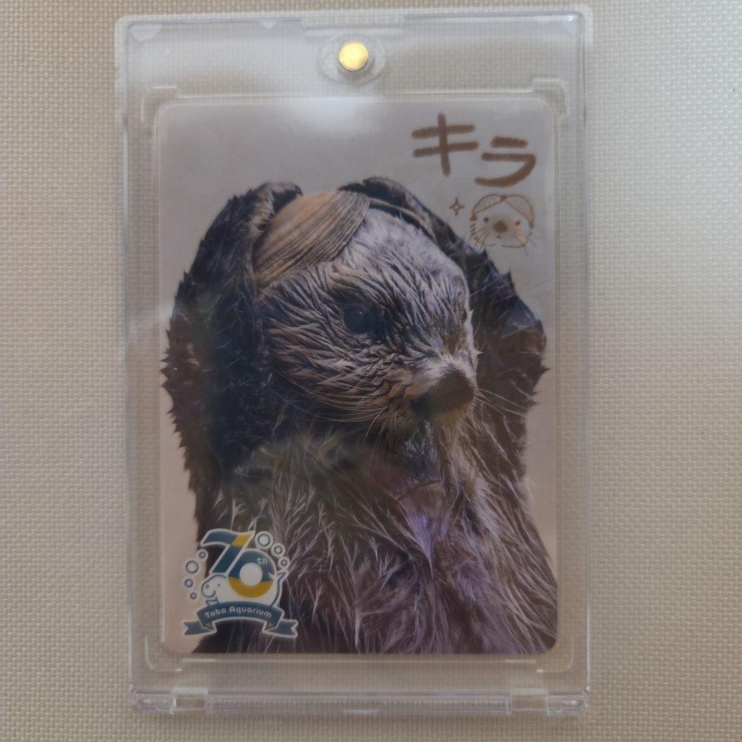 鳥羽水族館　コレクションカード　キラ　レア