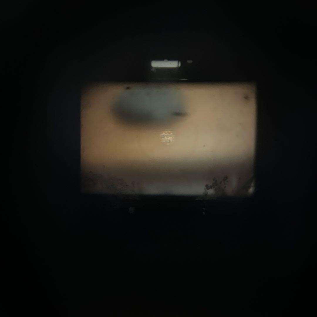 ニコン Nikon F フォトミック シルバー 50mm F1.4