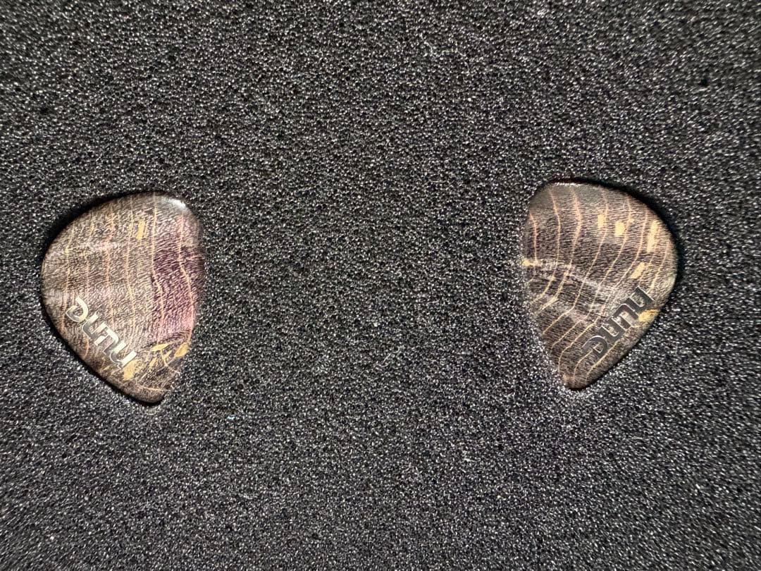 【25年4月購入】 DUNU×GIZAUDIO DaVinci