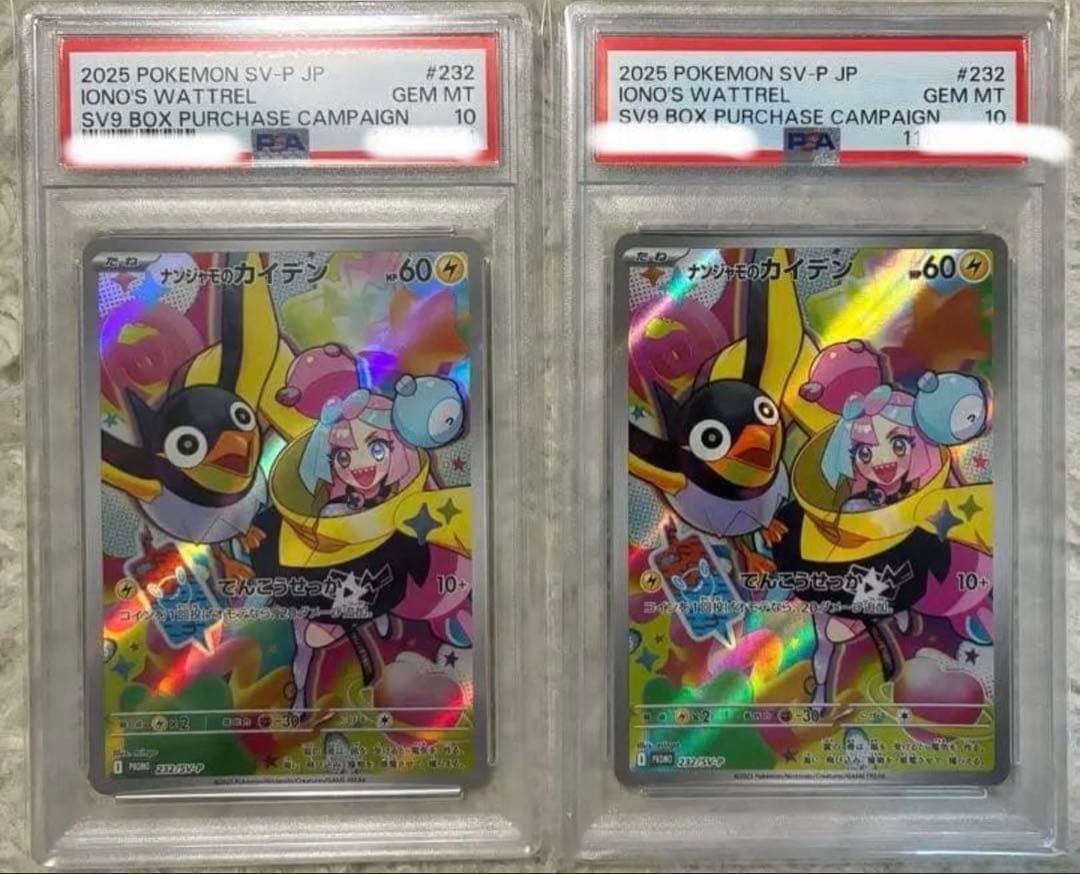 ナンジャモのカイデン PSV10