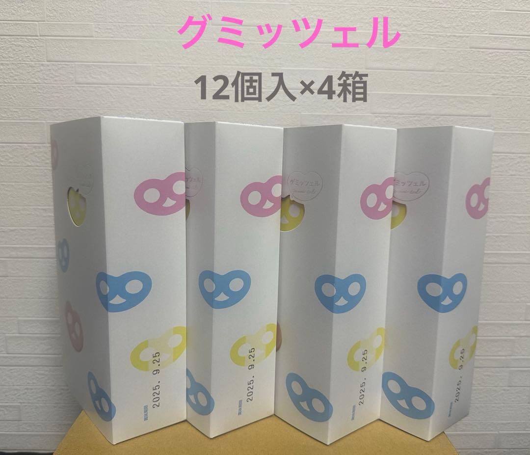 未開封♡ グミッツェル　12個入　4箱セット　ヒトツブカンロ 箱のまま　グミ