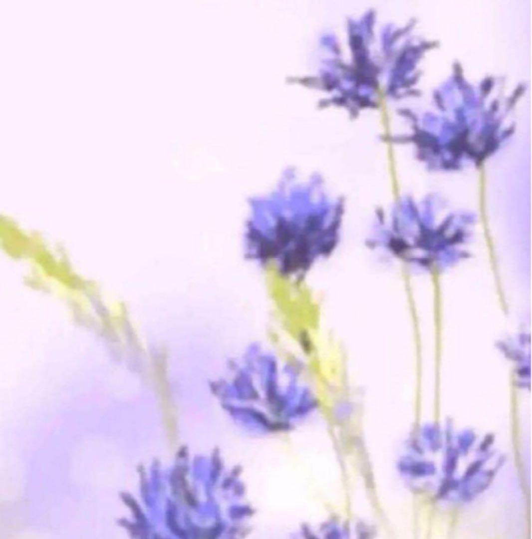 専用 EX W2 コラゲリード