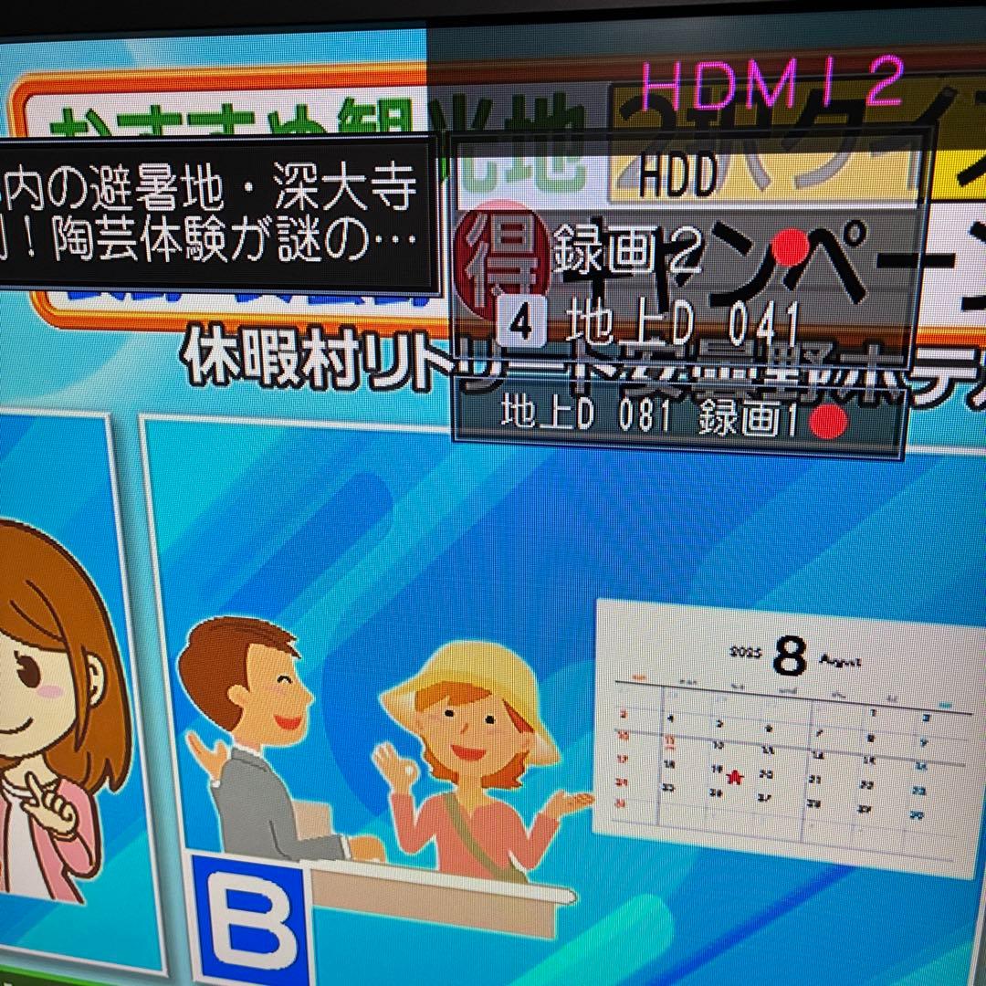 Panasonic ブルーレイレコーダー　DMR-BRW510 動作ok です