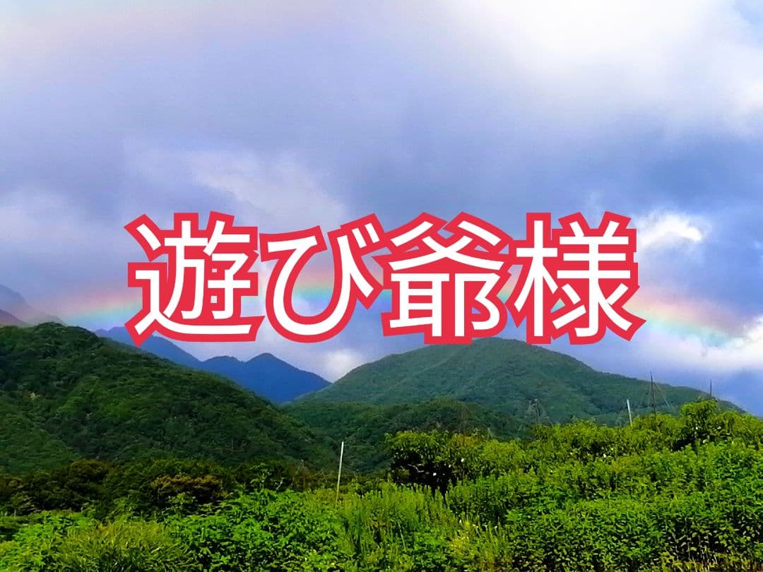 遊び爺様　山梨県産　干し柿・枯露柿用　渋柿　甲州百目柿　20kg