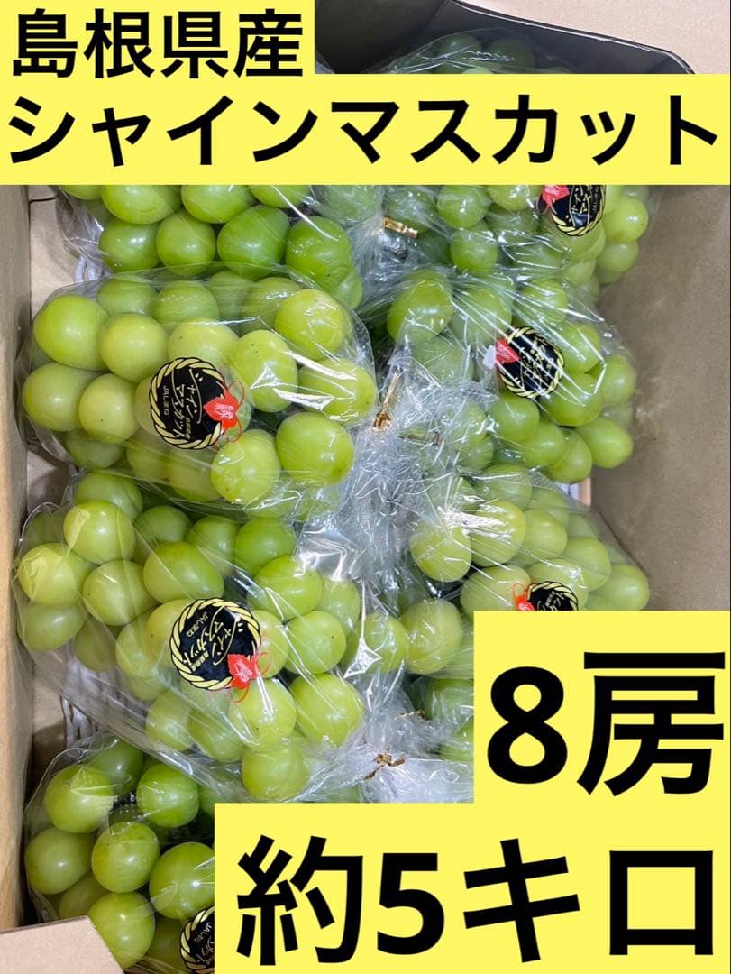 ① 【島根県産】シャインマスカット約5キロ(8房)