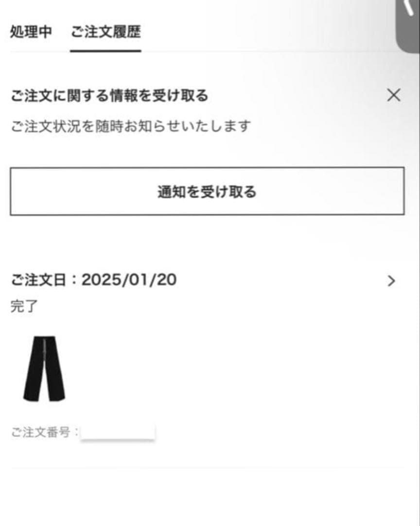 パンツ rick owens cargobela 46
