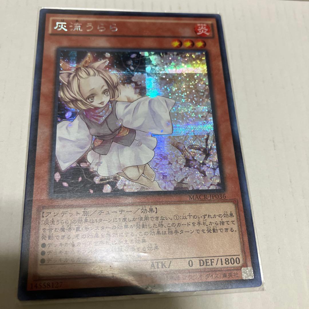 遊戯王　灰流うらら　アジア　シークレット MACR