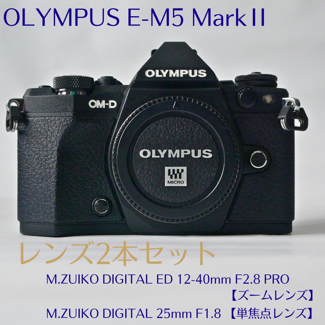 【美品・シャッター回数1178回】オリンパス OM-D E-M5 Mark II