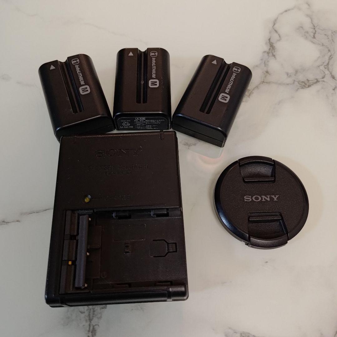 SONY ソニー デジタル一眼レフカメラ α65 SLT-A65V