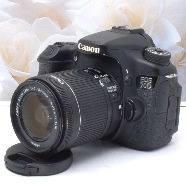 ★動画撮影★高速連写★動きの速い被写体★人物★風景★Canon EOS 70D★