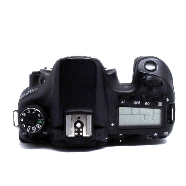 ★動画撮影★高速連写★動きの速い被写体★人物★風景★Canon EOS 70D★