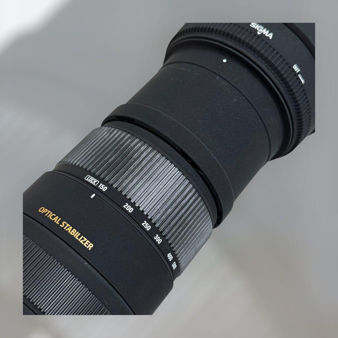 8814.シグマ APO 150-500mm F5-6.3 DG OS HSM