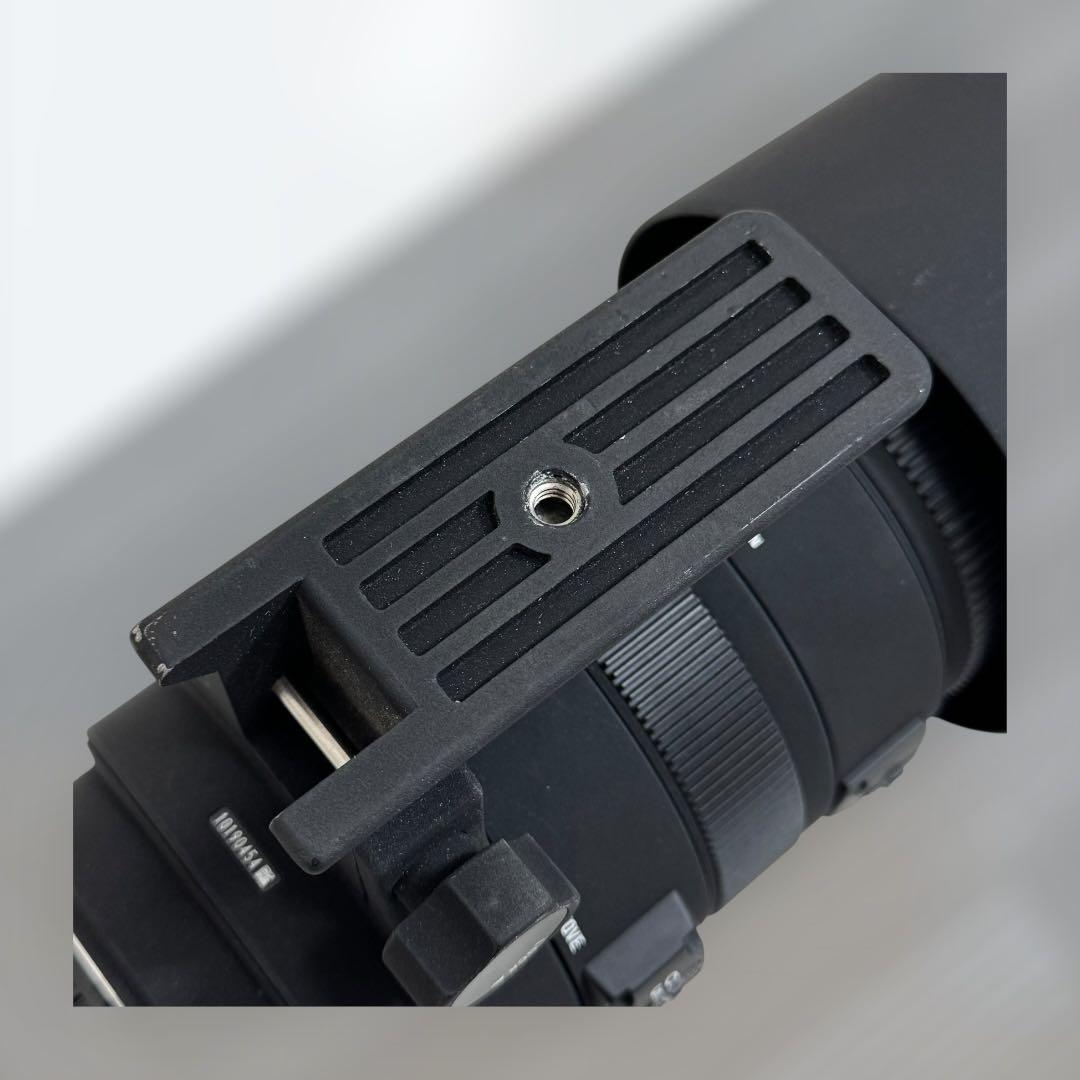 8814.シグマ APO 150-500mm F5-6.3 DG OS HSM