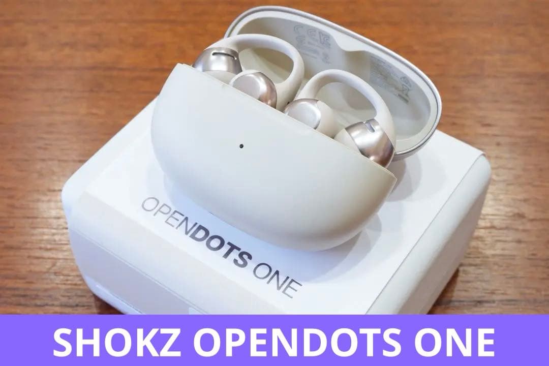 SHOKZ OPENDOTS ONE グレー　ワイヤレスイヤホン