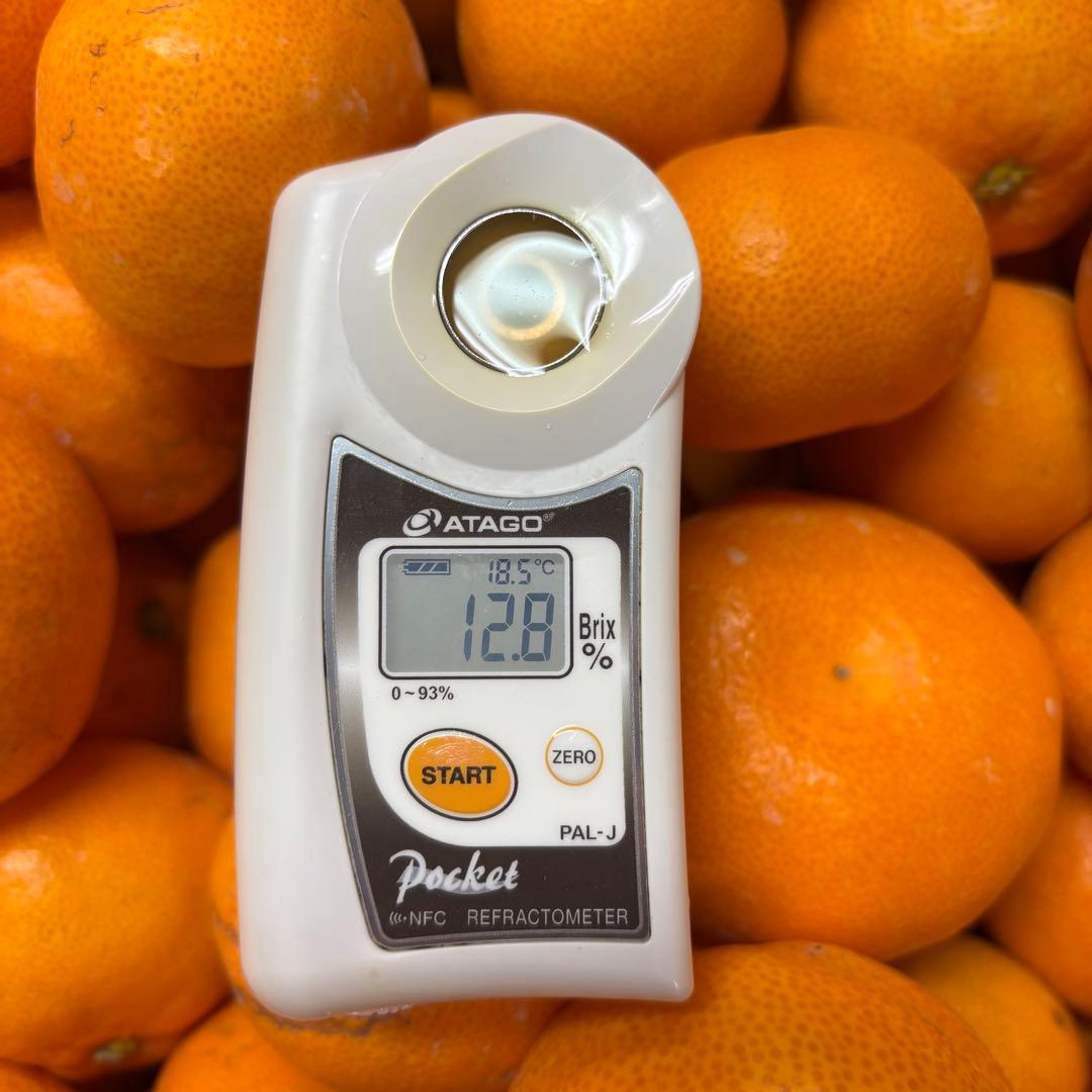 和歌山県産 有田みかん 箱込み約5kg 小玉 訳あり