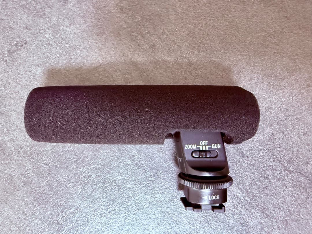 SONY FDR-AX45 デジタル4Kビデオカメラ