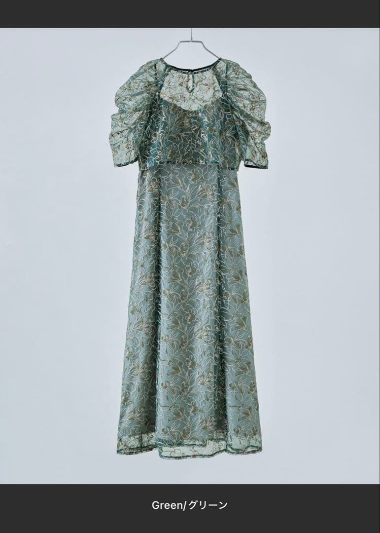 刺繍レースレイヤードドレス