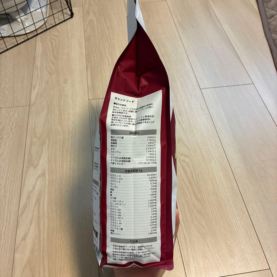 よっちゃん【2kg×4袋】Monge B Wild Grain Free