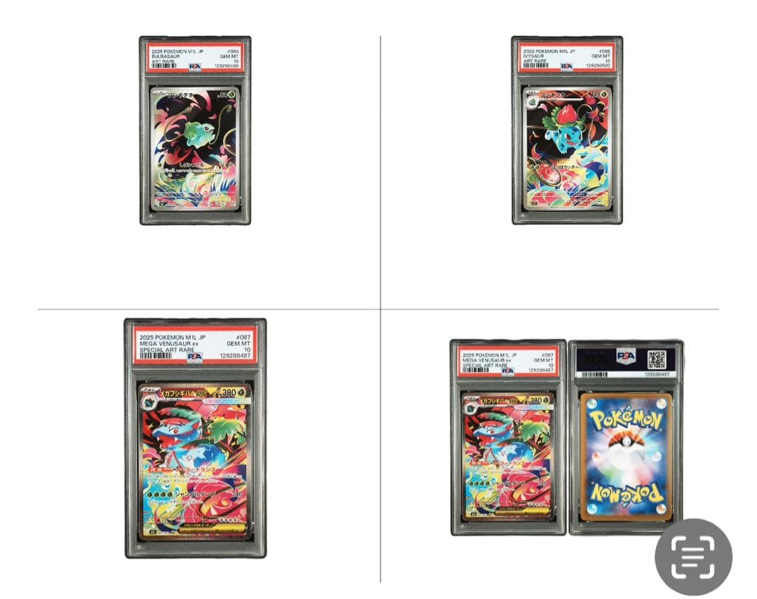 ☆PSA10☆進化ライン フシギダネ フシギソウ メガフシギバナex SAR