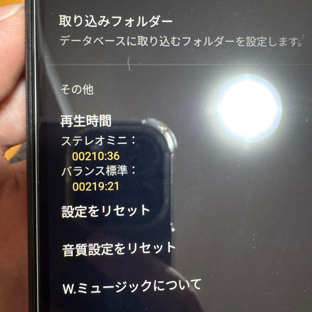 イヤホン NW-ZX707 IER-Z1R MUC-M12SB2 microSD 1TB