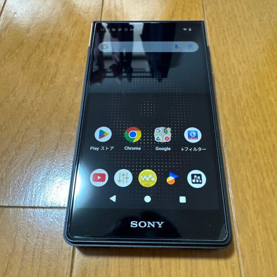 イヤホン NW-ZX707 IER-Z1R MUC-M12SB2 microSD 1TB