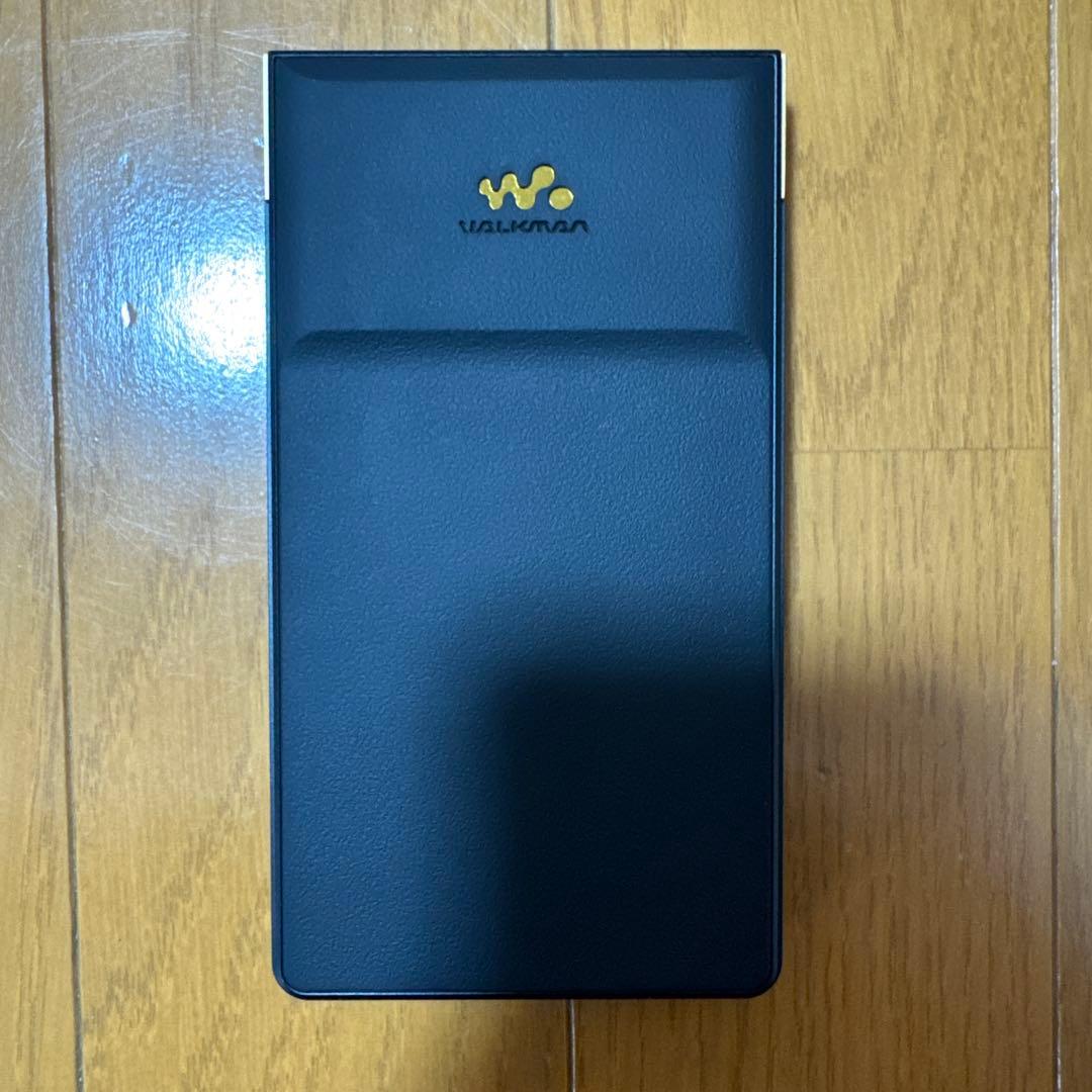 イヤホン NW-ZX707 IER-Z1R MUC-M12SB2 microSD 1TB