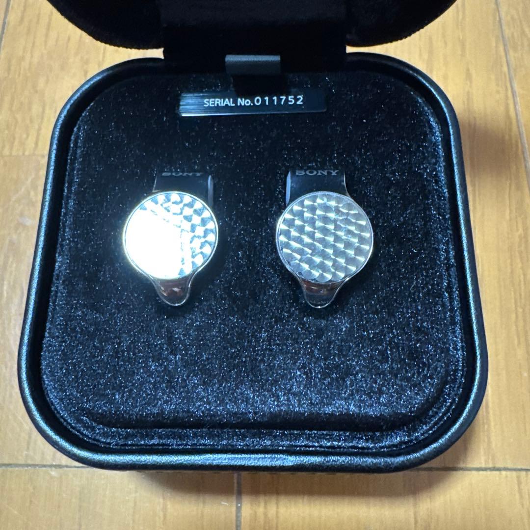 イヤホン NW-ZX707 IER-Z1R MUC-M12SB2 microSD 1TB