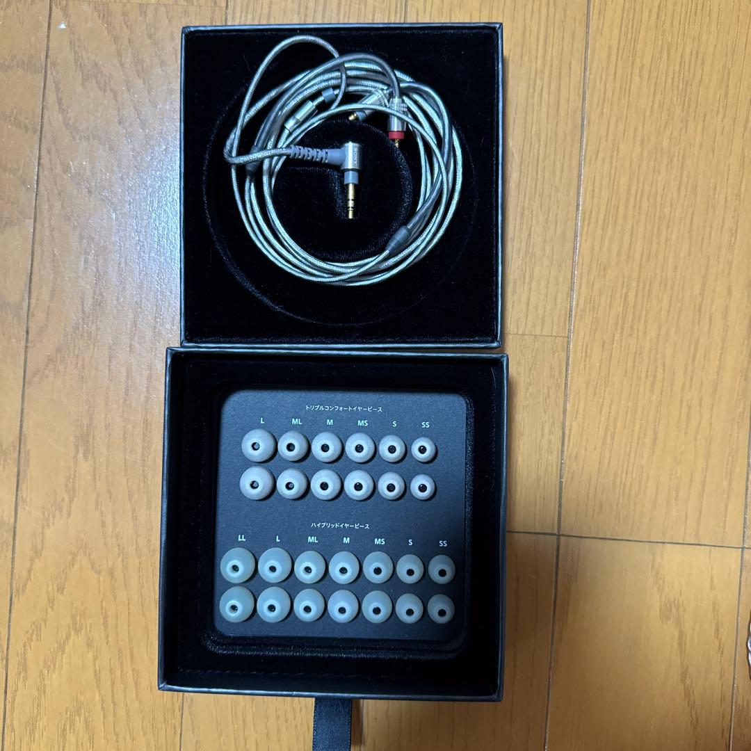 イヤホン NW-ZX707 IER-Z1R MUC-M12SB2 microSD 1TB