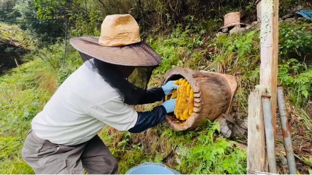 二ホンミツバチの非加熱・無農薬・無添加の天然蜂蜜