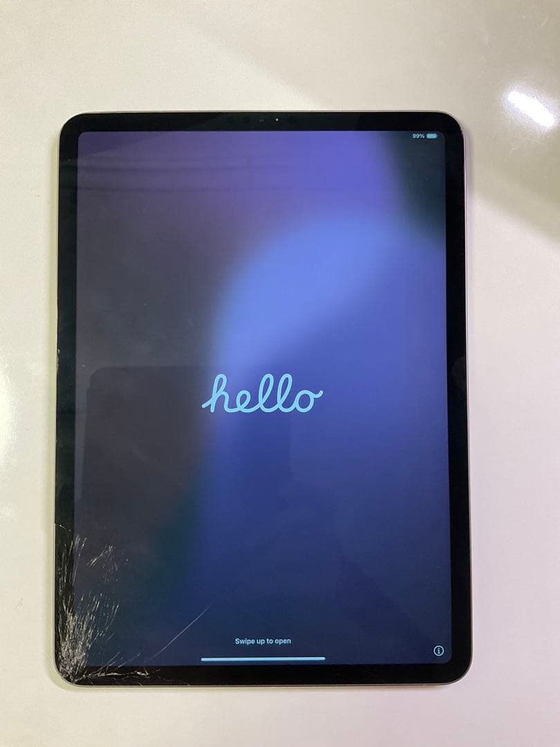 【ジャンク品】iPad Pro 第1世代 256GB Wi-Fiモデル