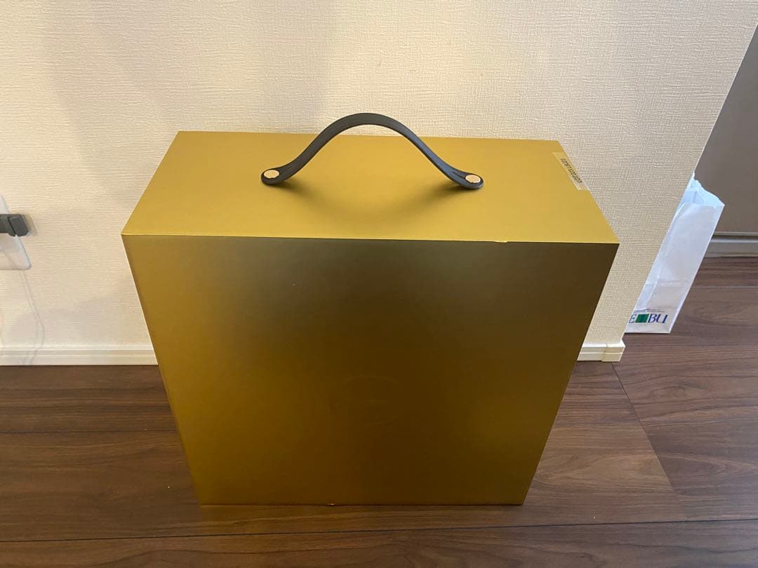 シューズ(男性用) LEBRON XXIII LUX EP 10 (UK 9)