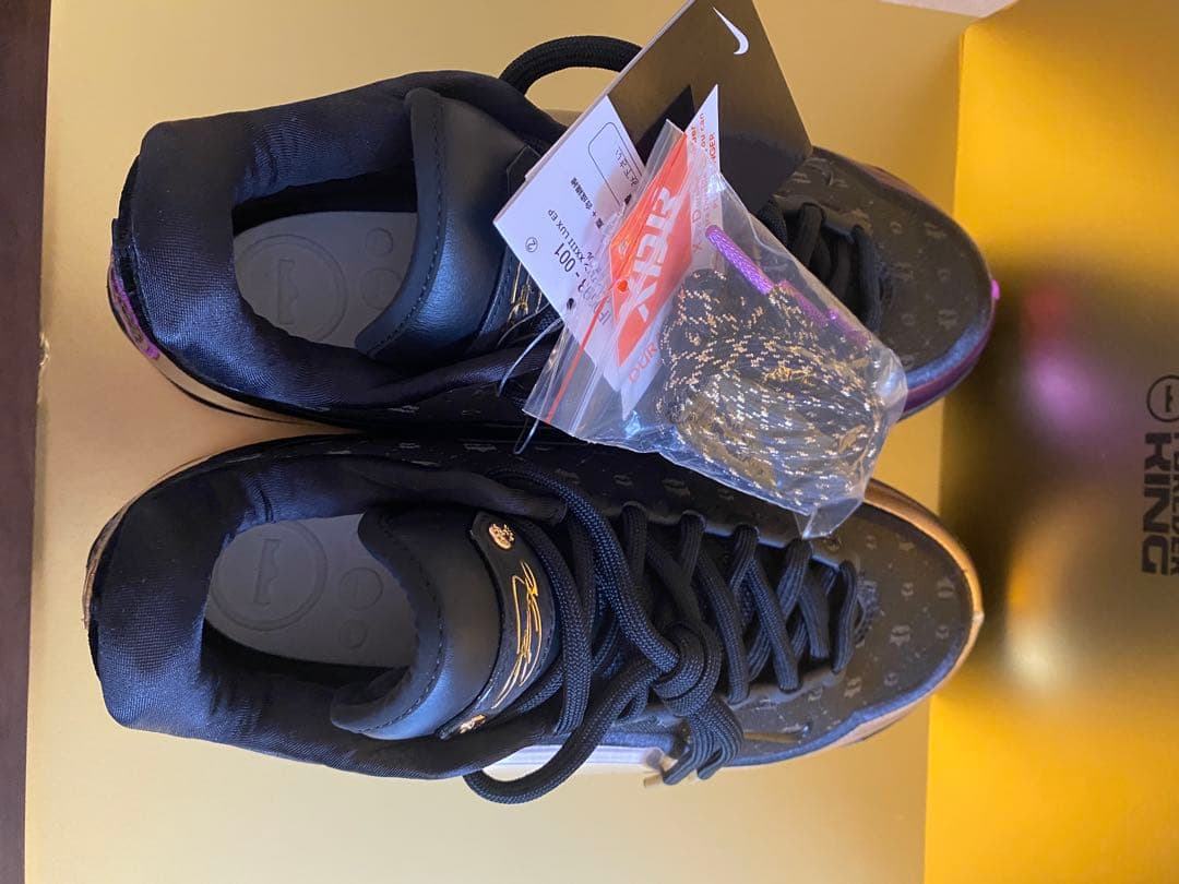 シューズ(男性用) LEBRON XXIII LUX EP 10 (UK 9)