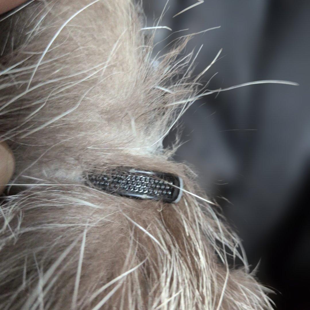 サガフォックス SAGA FOX シルバーフォックス 毛皮 ファーコート 11