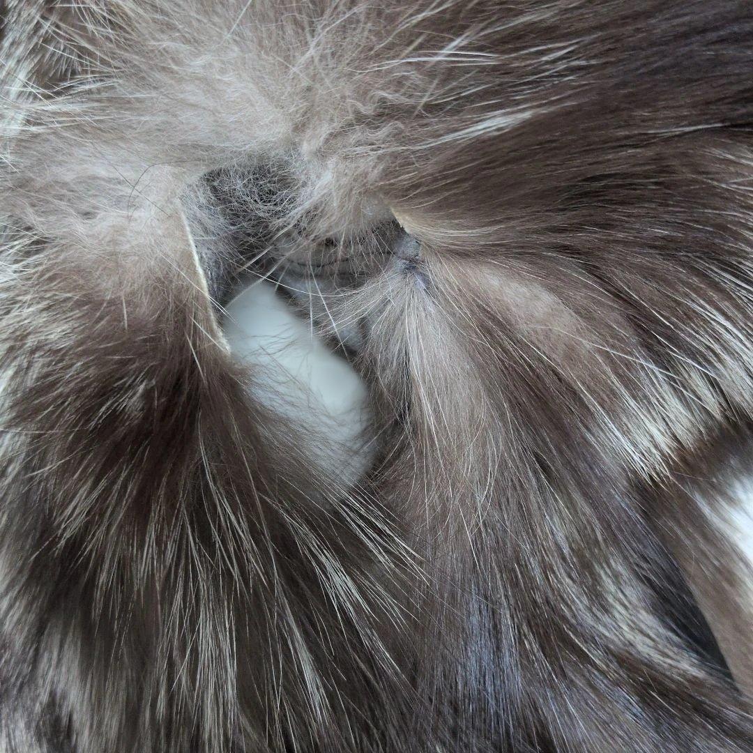 サガフォックス SAGA FOX シルバーフォックス 毛皮 ファーコート 11