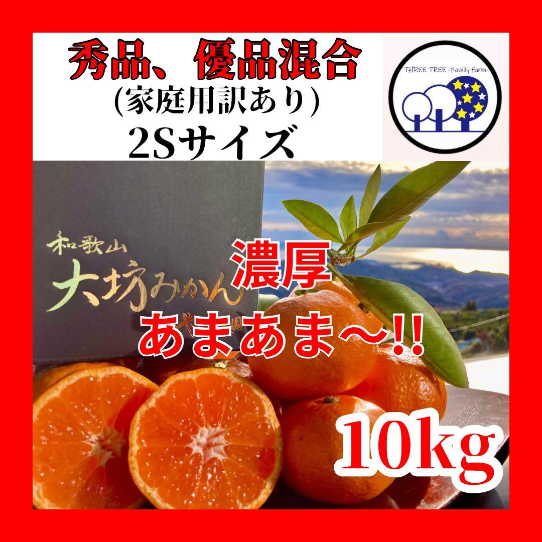 ①温州みかん 樹熟大坊みかん 秀品優品混合(家庭用傷あり)2Sサイズ10kg